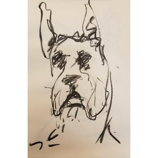 Contemporary Expressionist Style Charcoal Portrait Drawing of a Dog by Jose Trujillo For Sale