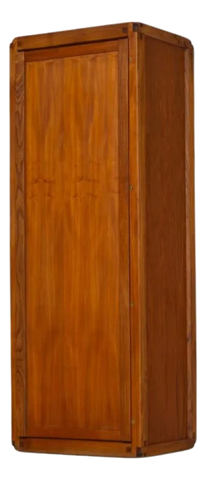 B10 Wardrobe from Pierre Chapo, France, 1960s