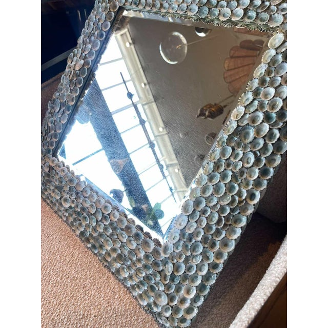 Coastal Handmade Cats Eye Shell Mirror For Sale - Image 3 of 4