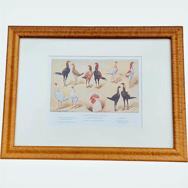 Antique French Rooster & Poultry Lithographs in Burled Wood Frames – Set of 3 For Sale - Image 4 of 7