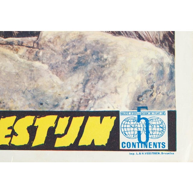 Disney Le Désert Vivant Film Poster For Sale - Image 6 of 7