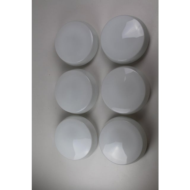 Opal Glass Ceiling or Wall Lamps from RZB Rudolf Zimmermann Bamberg, 1950s, Set of 6 For Sale - Image 16 of 18