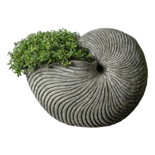 Ammonite Gray Concrete Planter For Sale