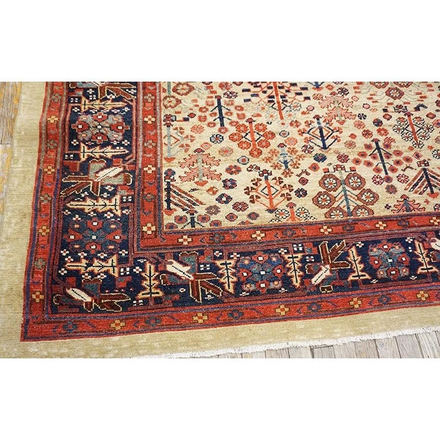 Tribal 1880s Multicolor Tree of Life Tribal Shrub n.w Antique Bakshaiesh Rug Square Carpet For Sale - Image 3 of 9