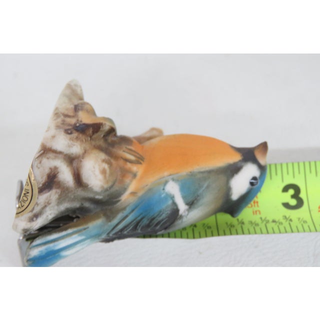 Capodimonte Savastano Eurasian Blue Tit Ceramic Figurine Bird on a Branch 4496b For Sale - Image 11 of 17