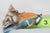 Capodimonte Savastano Eurasian Blue Tit Ceramic Figurine Bird on a Branch 4496b For Sale - Image 11 of 17