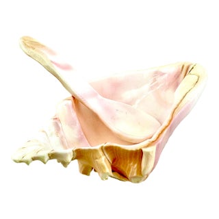 Mid 20th Century Coastal Pink Conch Shell Serving Bowl With Matching Spoon For Sale