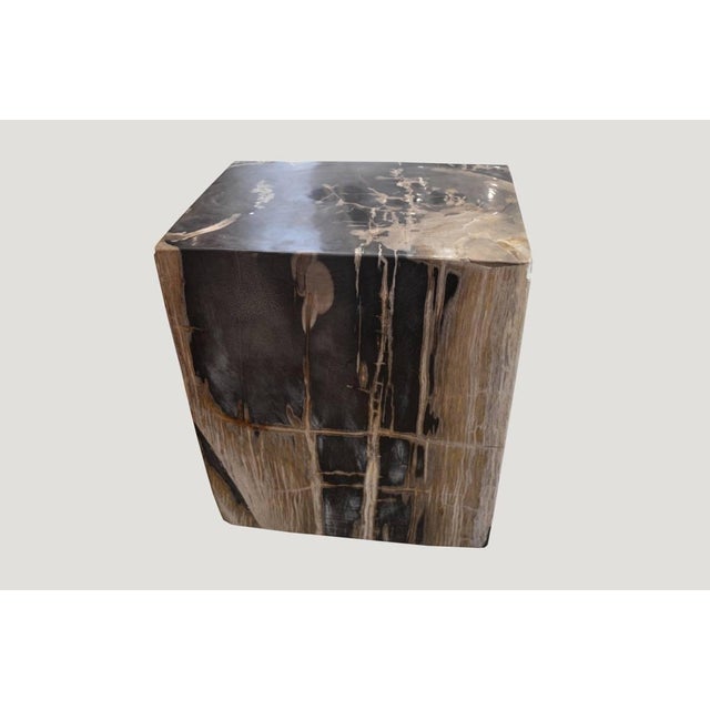 Andrianna Shamaris Petrified Wood Side Table For Sale - Image 13 of 18