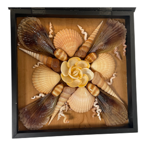 1970s Shell Art Wall Decor in Shadow Box