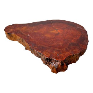 Yakusugi Wood Display, Japan, 1950s For Sale