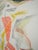 André Masson, Dance, Lithograph Poster For Sale - Image 4 of 6