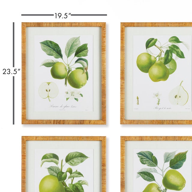 This set of four coordinating fruit studies offers a detailed look at the splendid beauty of nature. Each piece a study of...