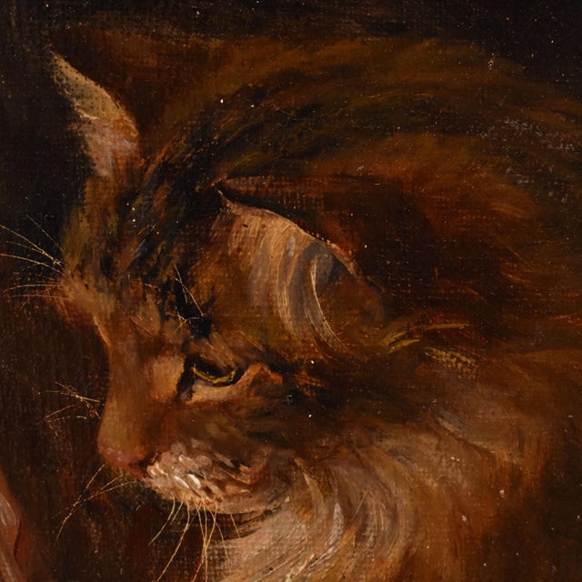 Jane Dhazon De Saint-Firmin, Three Playing Cats, Oil on Canvas, Late 19th Century For Sale - Image 4 of 11