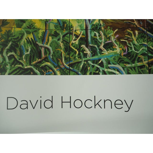 Closer Grand Canyon Poster after David Hockney For Sale - Image 5 of 7
