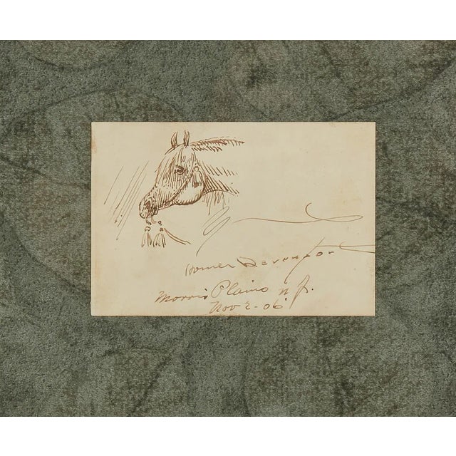 Beautiful sketch of a horse's head by renowned illustrator Homer Calvin Davenport (1867-1912). A friend of Theodore...