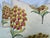 Transitional Shumacher "Aurelia Embroidery" in Natural 18"x24" Pillows-a Pair For Sale - Image 3 of 3