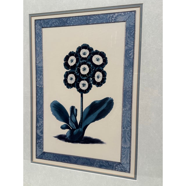 Vintage Traditional Victorian Blue Floral Botanical Gold Framed Reproduction Prints, a Pair For Sale - Image 14 of 17