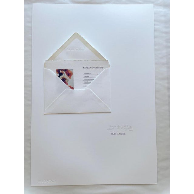 Ugne Pouwell, Orange Poppies No.4, 2024, Photography For Sale - Image 7 of 8