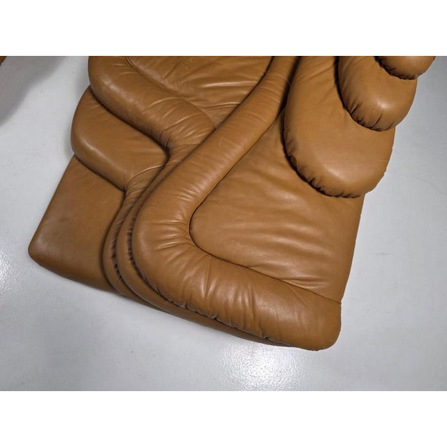 Brown DS-1025 Terrazza Sofas by Ubald Klug for De Sede, 1980s, Set of 2 For Sale - Image 8 of 10