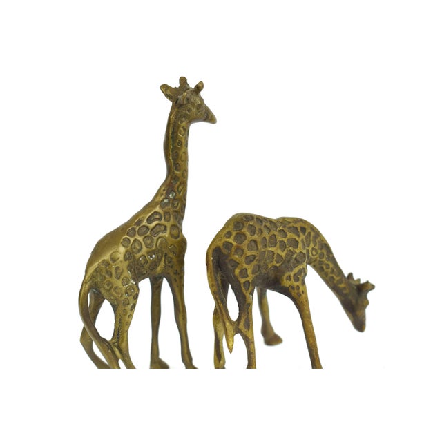 Mid 20th Century Solid Brass Giraffe Figurine - Pair For Sale - Image 5 of 5