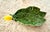 Vintage Portuguese Majolica Style Lemon Leaf Dish by Olfaire – French Country Green Glazed Ceramic Catchall For Sale - Image 4 of 12