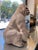 Seated Gorilla Sculpture in White Ceramic by Ronzan, 1950s For Sale - Image 4 of 18