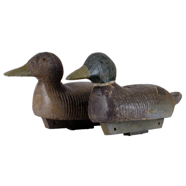 Antique Mallard Duck Decoys - A Pair | Chairish