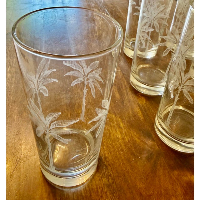 Late 20th Centurty Highball Tumblers With Etched Palm Tree Design - Set of 8 For Sale - Image 11 of 12