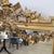 19th Century Gilt Wood Wall Mirror For Sale - Image 12 of 15