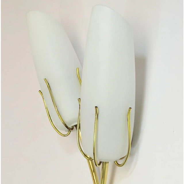 Mid-Century Modern Vintage French Sconce, 1950s For Sale - Image 3 of 7