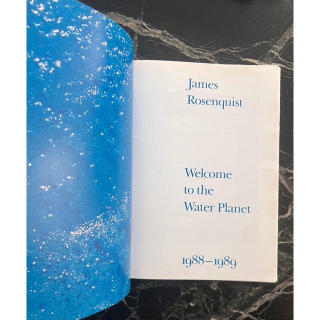 Vintage James Rosenquist Coffee Table Book, 1988 For Sale - Image 12 of 12