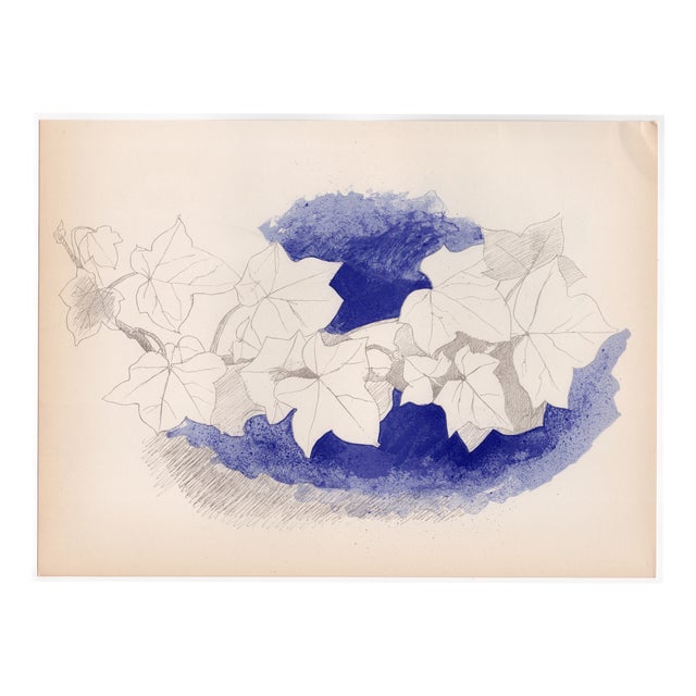 Georges Braque, Ivy and Flower Vase, 1955, Lithograph For Sale