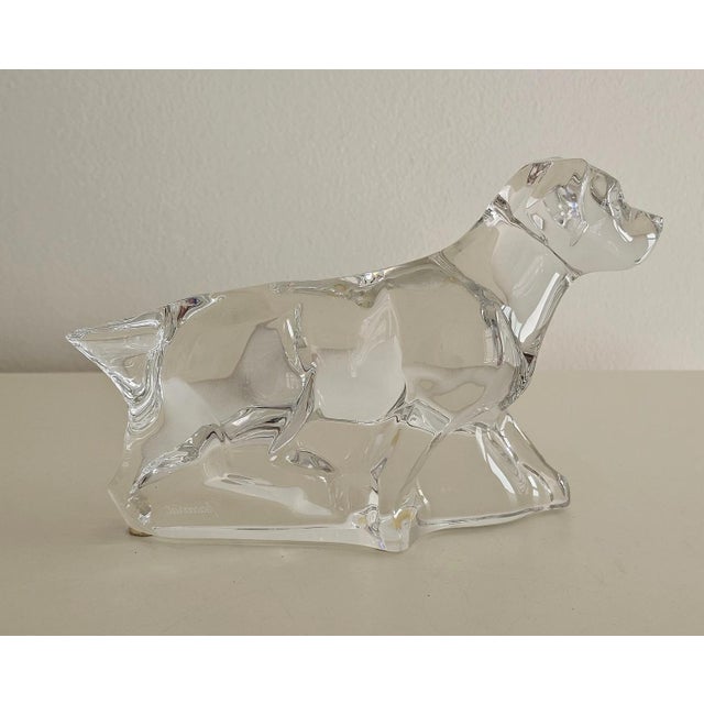 Vintage (1980's) Pointer Dog made by Baccarat. Crystal. Clear. The Measurements: 6.75"W x 2.5"D x 4"H. Flat Rate Shipping...