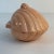 Coastal 1988 Coastal Americana Folk Art Ceramic Clam Shell Box, Artist Initialed. For Sale - Image 3 of 10