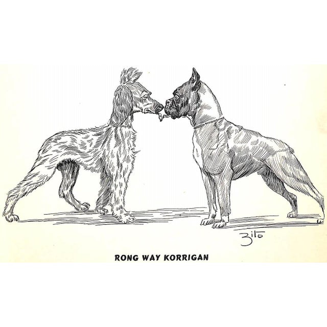 Illustration "More Dogs" 1938 Zito (Inscribed) For Sale - Image 3 of 12