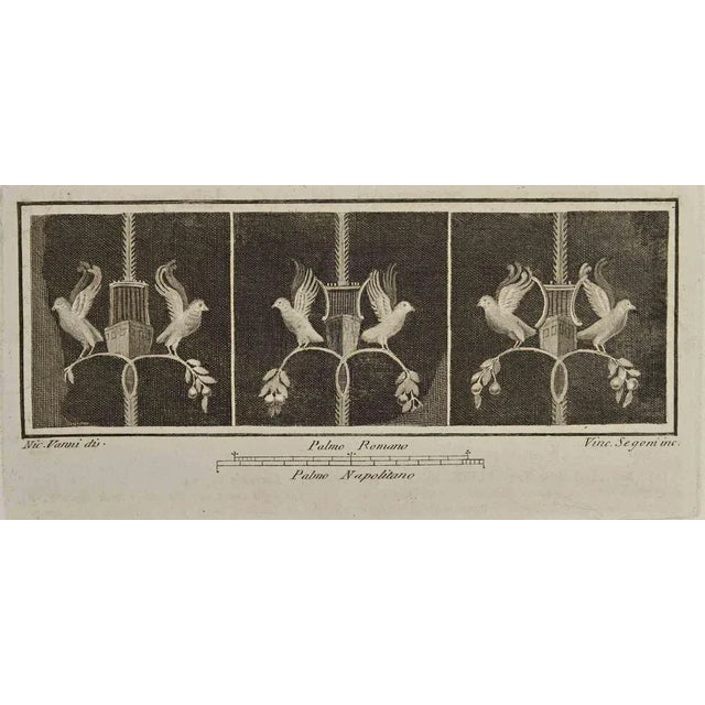 Still Life Fresco with Birds from "Antiquities of Herculaneum" is an etching on paper realized by Vincenzo Segoni in the...