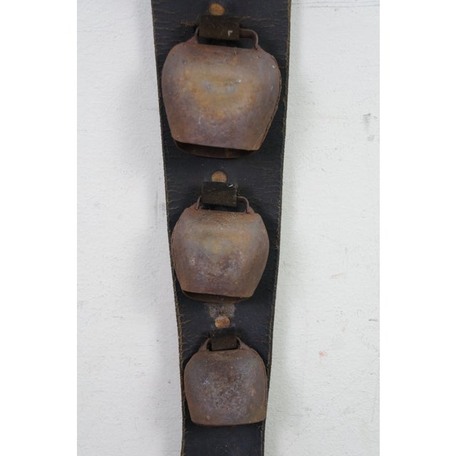 Early 20th Century Antique Swiss Forged Iron Graduated Cow Sleigh Bells on Leather Strap 23" For Sale - Image 5 of 13