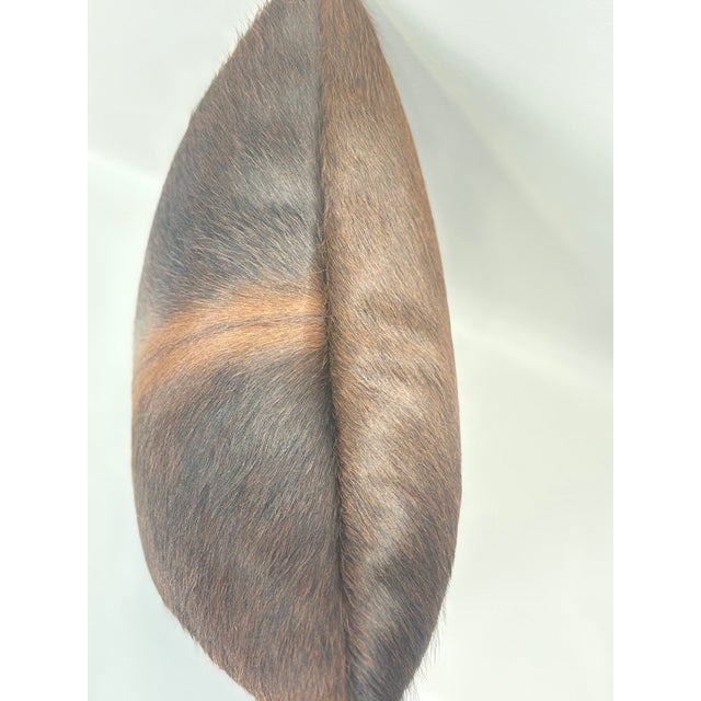 2020s Reversible 16” X 16” Premium Brazilian Watusi Cowhide Pillow Cover – Sculptural Spine Composition - Handcrafted by Pablo Sota Designs. For Sale - Image 5 of 11