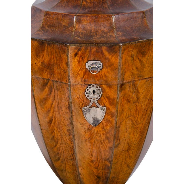 Pair of Regency Mahogany Knife Urns For Sale - Image 9 of 13