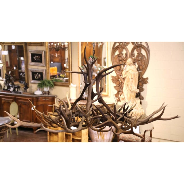 Bone Vintage American Black Forest Style Elk and Deer Antler Ten-Light Chandelier For Sale - Image 7 of 7