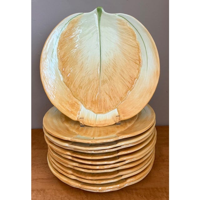 Vintage Italian Botanical Ceramic Dinner Plates - Set of 12 For Sale - Image 15 of 15