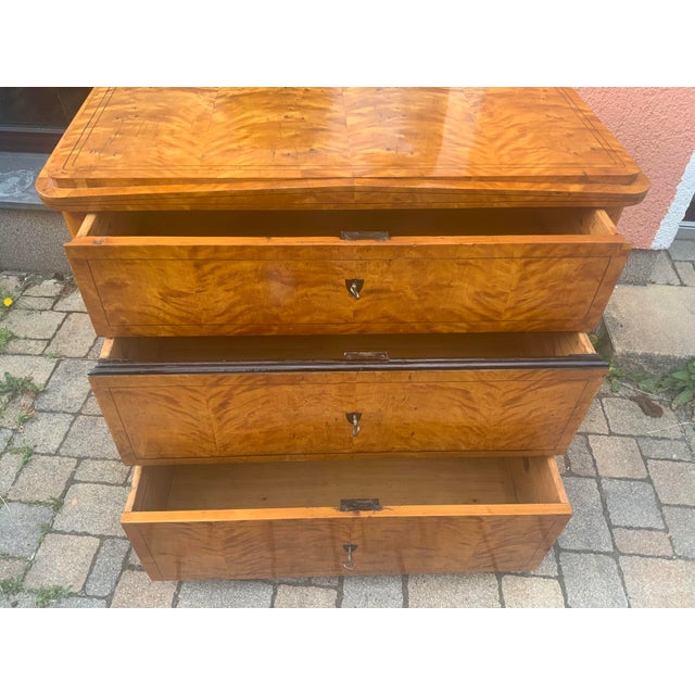 Biedermeier Chest of Drawers in Birch, 1830 For Sale - Image 12 of 16