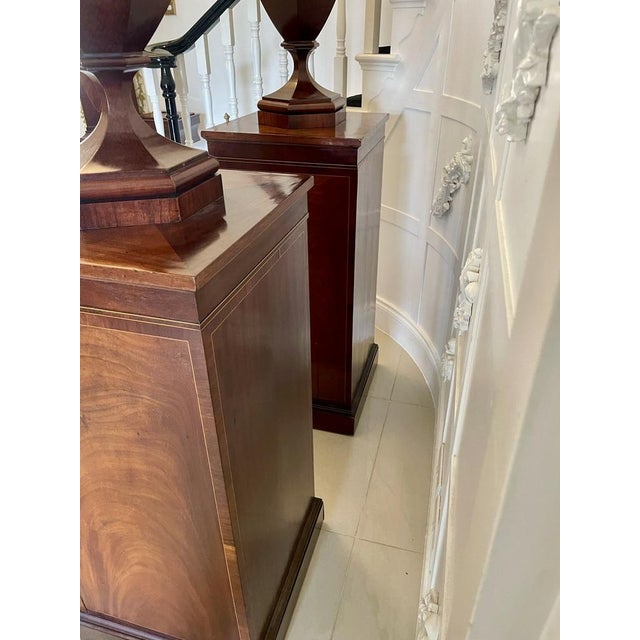 Antique George III Mahogany Inlaid Wine Urns, 1800, Set of 2 For Sale - Image 12 of 18