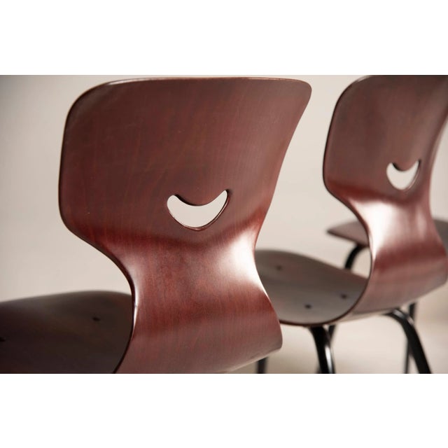 Danish Dark Plywood Shaped Chairs, 1960s, Set of 8 For Sale - Image 6 of 12