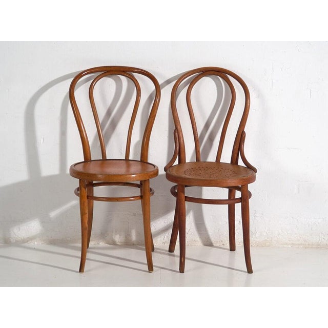 Antique Chairs from Thonet, Set of 2 For Sale - Image 3 of 8