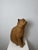 Ceramic Montelupo Fiorentino Tuscan Artist, Sculpture of a Seated Cat, 19th Century, Terracotta For Sale - Image 7 of 18