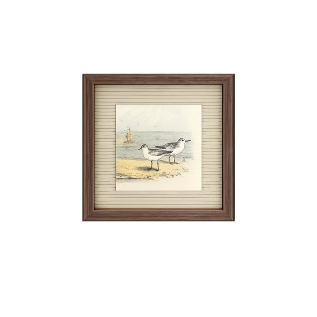 These authentic antique bird prints originate from The Birds of North America, the celebrated 19th-century ornithological...