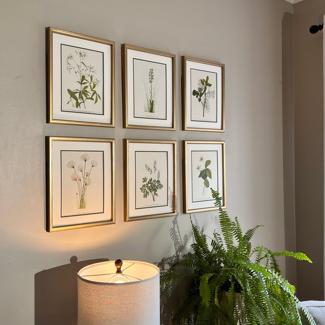Framed Vintage Botanical Prints, Set of 6 -Authentic 1978 Prints | Chairish