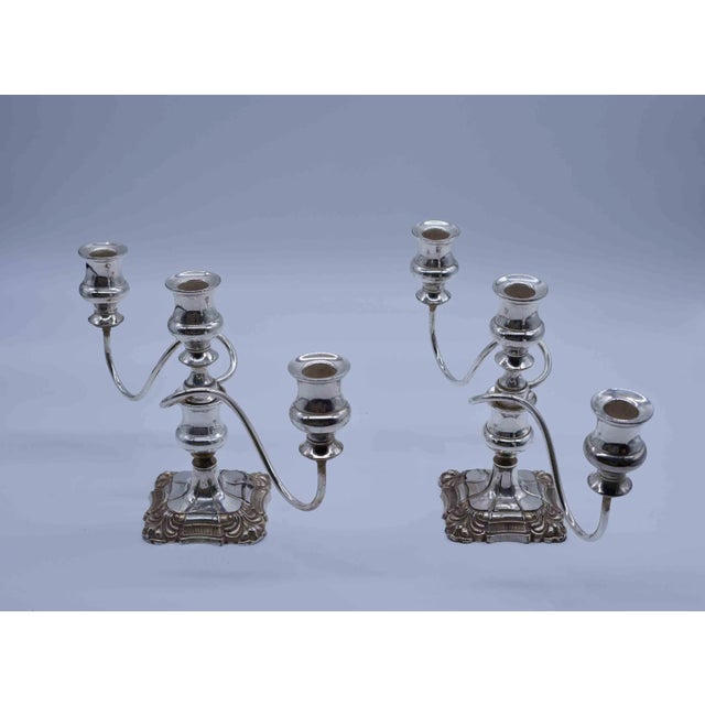 Silver Vintage Twisted Branch Silver Plated Candelabra - a Pair For Sale - Image 8 of 13