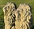 Pair of Majestic Vintage Concrete Lions on Bases For Sale - Image 15 of 15